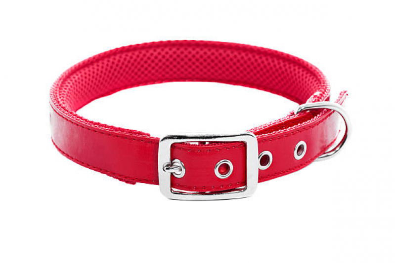 Acessório para Cachorro Filhote Água Azul - Acessório para Gatos Acessório para Cachorro Filhote Água Azul - Acessório para Gatos