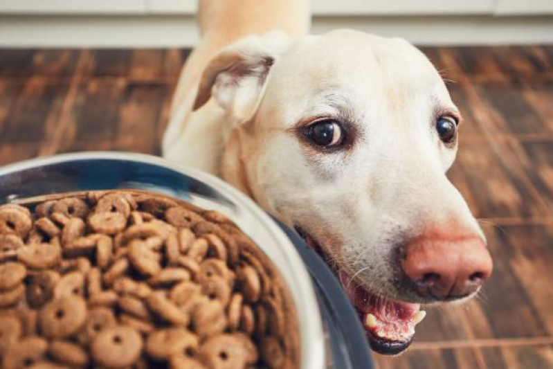 Casa de Ração Mais Próxima de Mim Telefone Jaraguá - Casa de Ração para Cachorro