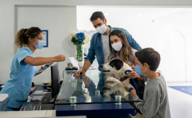Cirurgia de Luxação de Patela em Cães Agendar Parque Santos Dumont - Cirurgia de Retirada de Baço em Cães