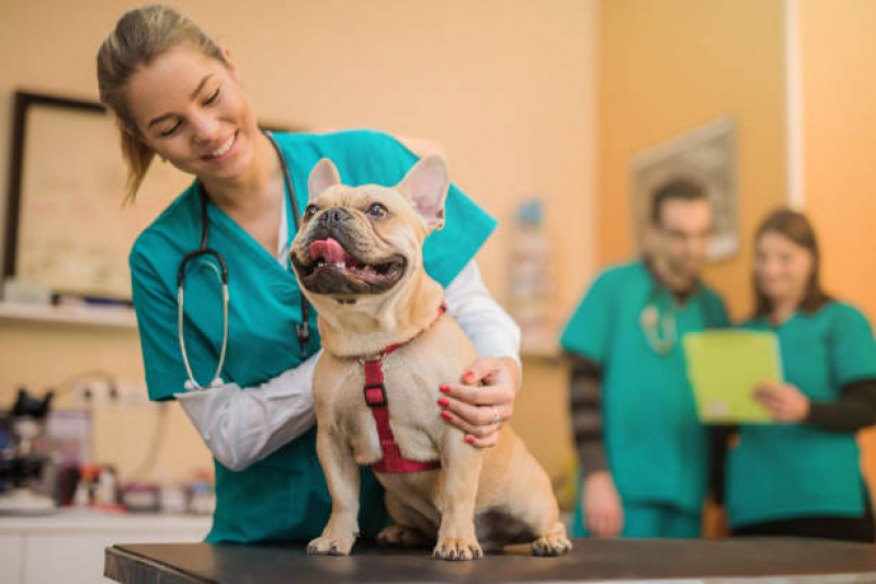 Clínica Veterinária Animal Cumbica - Clínica Veterinária de Cães e Gatos
