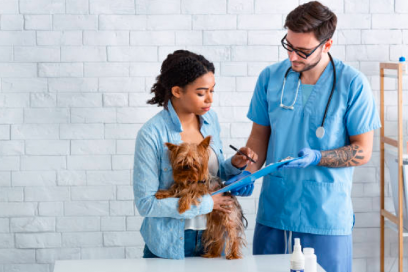 Clínica Veterinária Pet Invernada - Clínica Veterinária Cães e Gatos