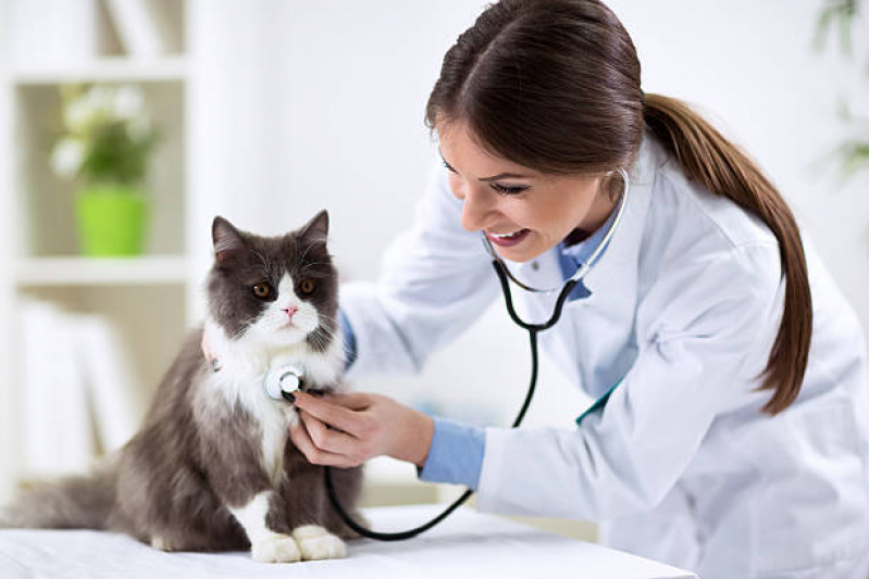 Clínica Veterinária Telefone Suzano - Clínica Veterinária de Cães e Gatos