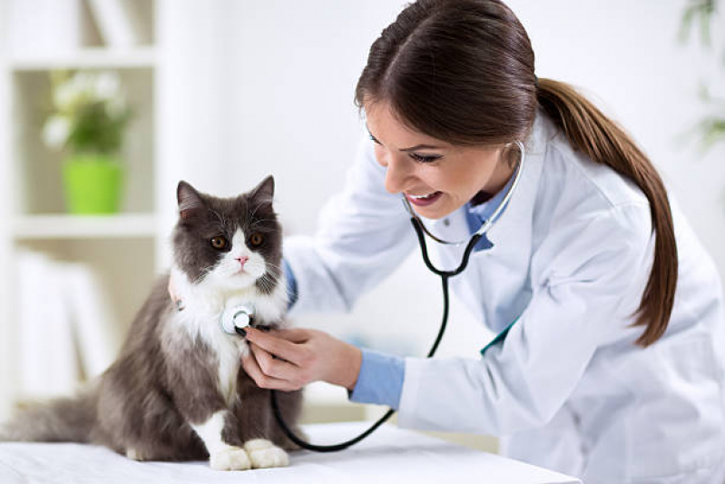 Clínica Veterinária Telefone Cabuçu - Clínica Veterinária São Paulo