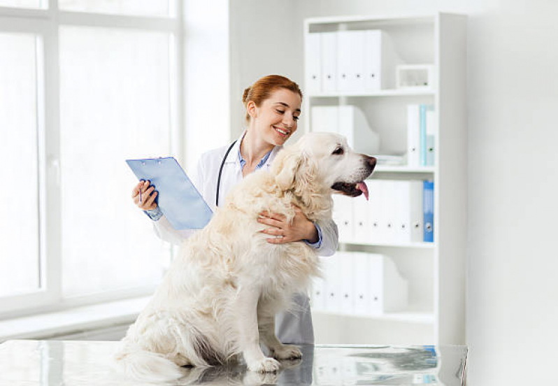 Consulta Veterinária para Cachorros Marcar Capelinha - Consulta Veterinária para Cachorro