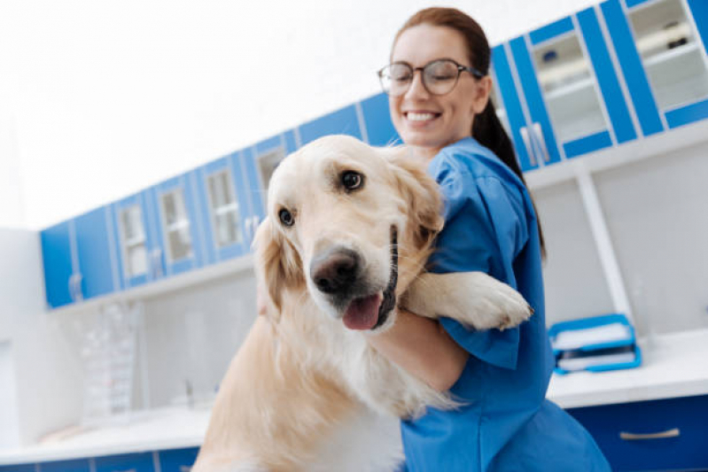 Consultório Veterinário Perto de Mim Jardim Aracília - Consultório Veterinário para Cães