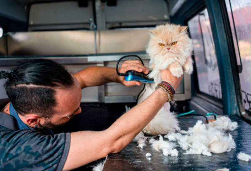 Contato de Pet Shop Leva e Traz Ferraz de Vasconcelos - Pet Shop Banho e Tosa