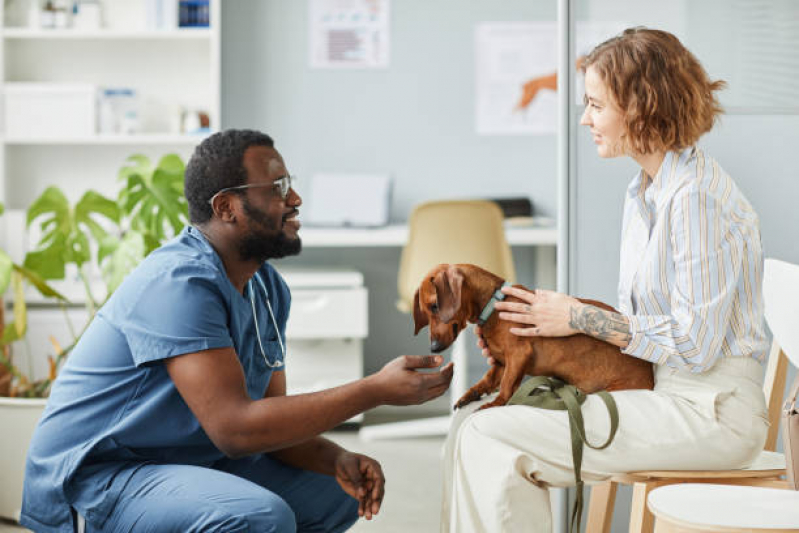 Internação Animal Contato Jardim Vila Galvão - Internação para Cães e Gatos