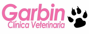 clínica veterinária mais próxima - Garbin Pet Shop