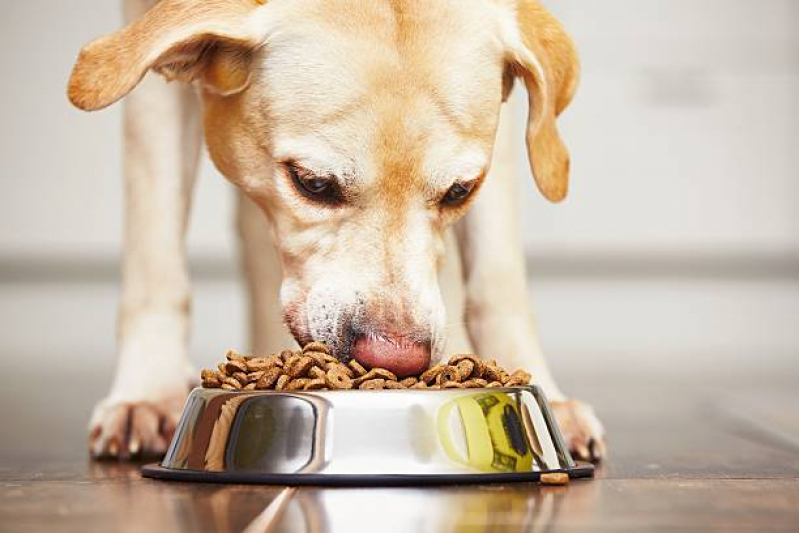 Loja de Ração Animal Endereço Cidade Soberana - Loja de Ração Pet