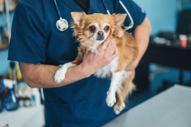 Medicamento Veterinários para Cães Comprar Mauá - Remédio para Animais São Paulo