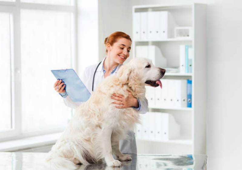 Neurologista Canino Endereço Taboão - Neurologista para Cachorros