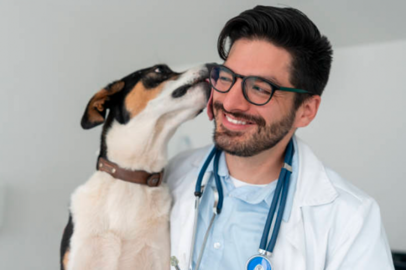 Neurologista Pet Parque Santos Dumont - Neurologista Cachorro