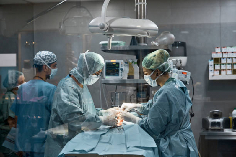 Onde Faz Cirurgia de Retirada de útero em Cadelas Torres Tibagy - Cirurgia de Retirada de útero em Cadelas