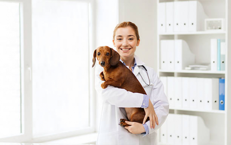 Onde Faz Consulta Veterinária para Cachorros Poá - Consulta Veterinária para Cães