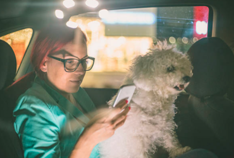 Onde Tem Táxi Dog Perto de Mim Parque Continental - Táxi para Cães