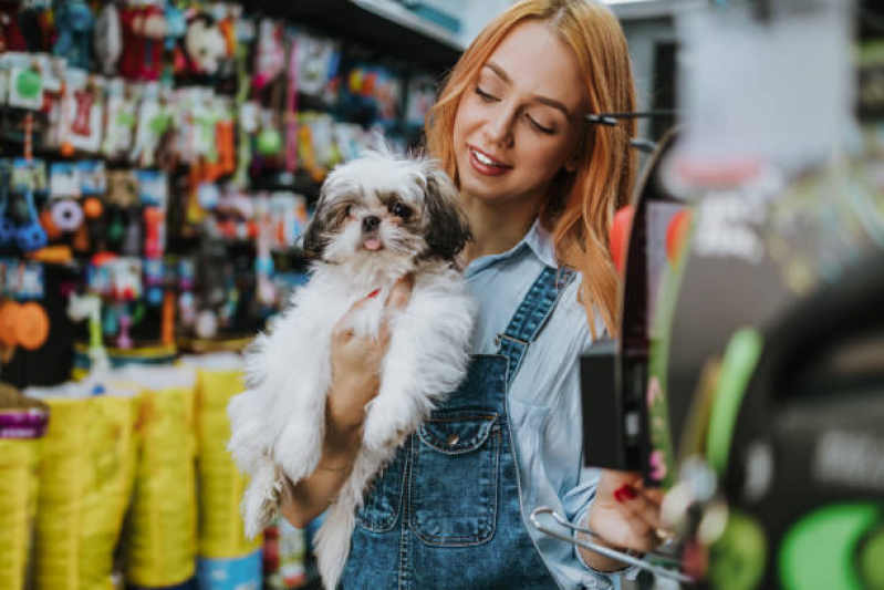 Onde Vende Acessório para Cachorro Macho Bosque Maia - Acessório Pet Shop