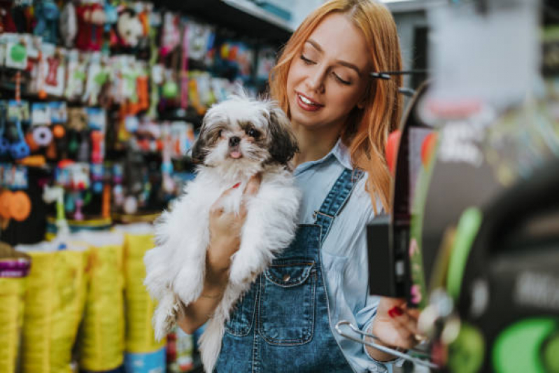 Onde Vende Acessório para Cachorro Macho Condomínio Veigas - Acessório de Gato