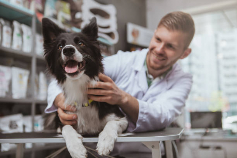 Onde Vende Medicamento Veterinários para Cães Tatuapé - Remédio para Animais São Paulo