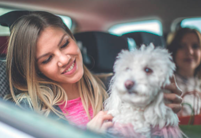 Pet Shop com Táxi Dog Marcar CECAP - Táxi de Cachorro