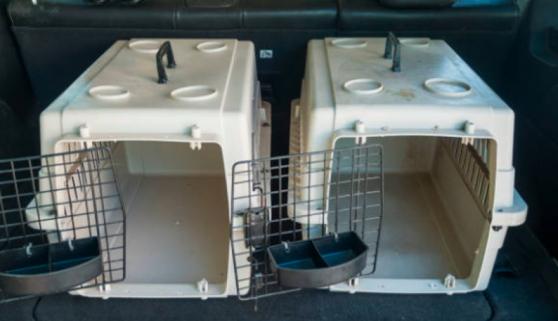 Pet Shop Táxi Dog Marcar Vila Sabrina - Táxi de Cachorro