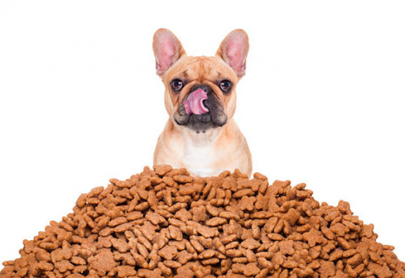 Ração para Cachorro 10kg Preço Sadokim - Ração Antialérgica para Cachorro