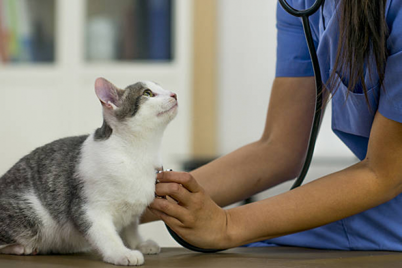 Remédio para Animais Comprar Jardim Leblon - Medicamento Veterinários para Cães