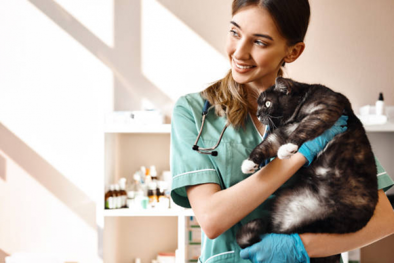 Remédio para Gatos Comprar Poá - Medicamento Veterinário