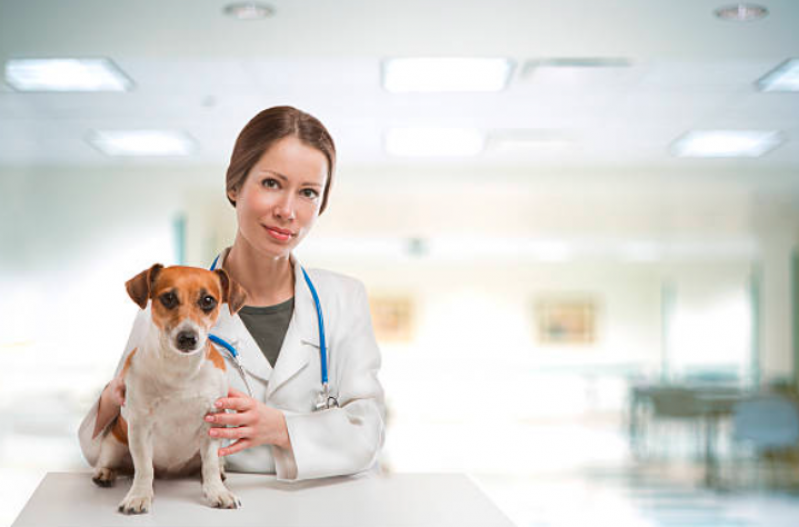 Remédios de Verme para Cachorro Filhote Cabuçu - Remédio de Verme para Cachorro Filhote
