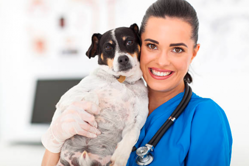 Remédios de Verme para Cachorro Recreio São Jorge - Remédio de Verme para Cachorro Dose única