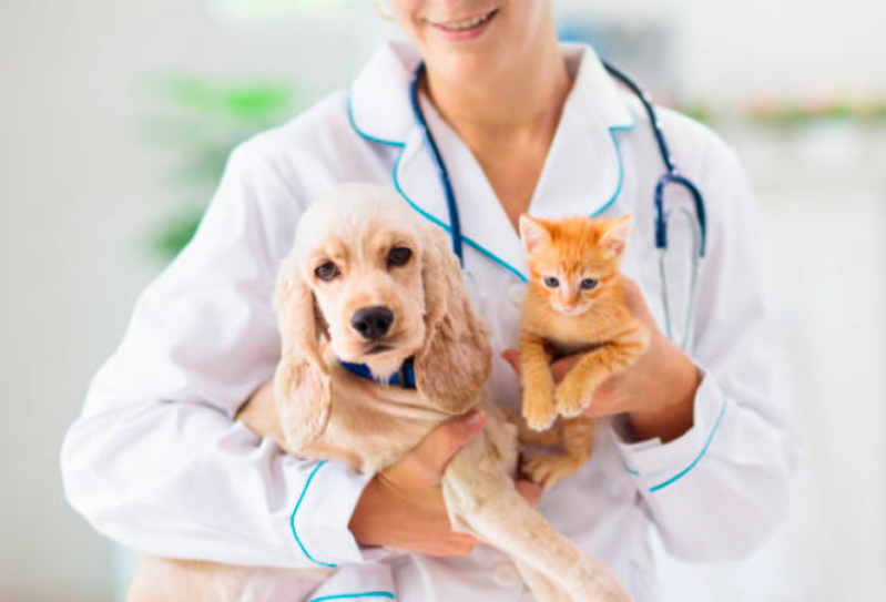 Remédios de Verme para Filhote de Cachorro Caieiras - Remédio de Verme para Cachorro