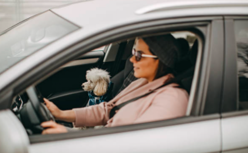 Táxi Dog Perto de Mim Agendar Cumbica - Táxi para Cachorro