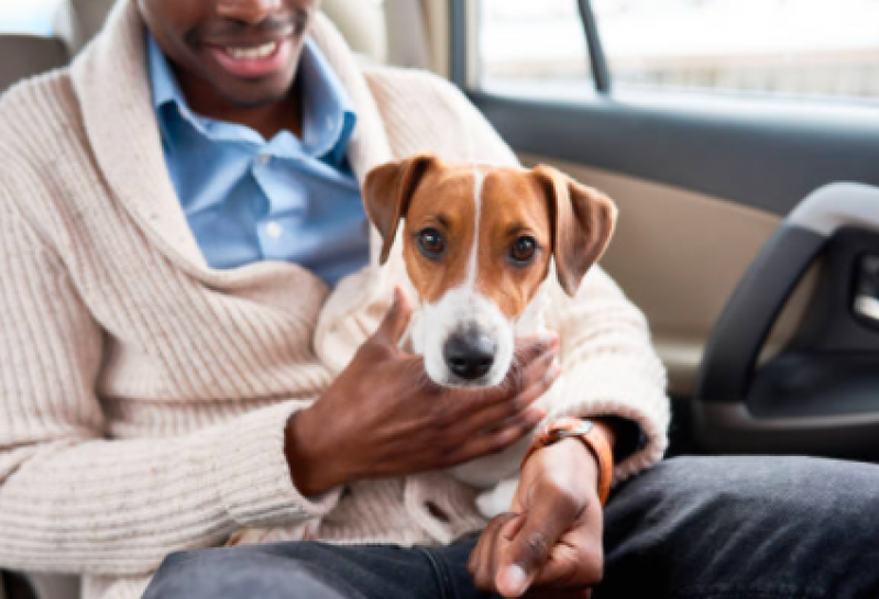 Táxi Dog Pet Cabuçu - Táxi Que Transporta Cachorro