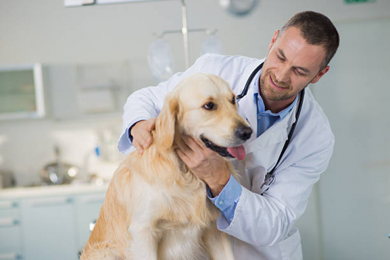 Telefone de Clínica Veterinária Mais Próxima Mauá - Clínica Veterinária com Atendimento Residencial