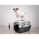 acessórios para cães e gatos Torres Tibagy