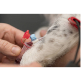 agendamento de exame de sangue para pet Pimentas