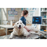 agendamento de exame de ultrassonografia para cachorro Vila Hulda