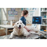 agendamento de exame ultrassom para animais Maia
