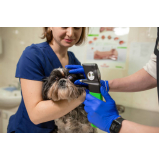 cirurgia de catarata para cães marcar Vila Maria
