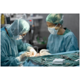 cirurgia de otohematoma em cães marcar Morro Grande
