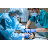 cirurgia para cachorro agendar Vila Augusta