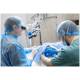 Cirurgia de Retirada de útero em Cadelas
