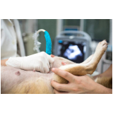 clínica especializada em ultrassom dentário veterinário Jardim Leblon