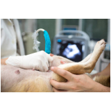 clínica especializada em ultrassom dentário veterinário Parque Santos Dumont