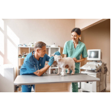 clínica especializada em ultrassom odontológico veterinário Vila Augusta