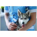 clinica especializada em vacina de filhote de cachorro Parque Renato