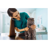 clínica veterinária 24 horas telefone Gopoúva