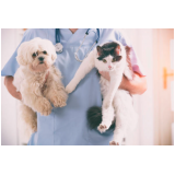 clínica veterinária cães e gatos telefone Vila Galvão