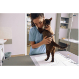 clínica veterinária com atendimento a domicílio Água Azul