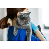 clínica veterinária com atendimento residencial Paraventi