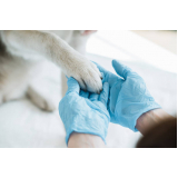 clínica veterinária de cães e gatos telefone Vila Barros